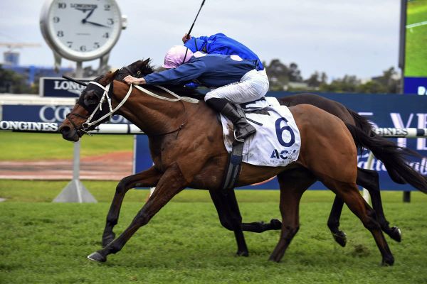 Sydney Cup aim for No Compromise