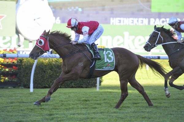 Kiwi-bred trifecta at Randwick