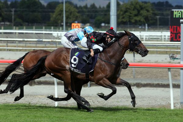 Richardson hoping for fruitful day at Tauranga