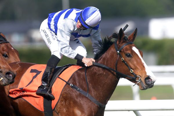 Winners Flow for Smiling Joe