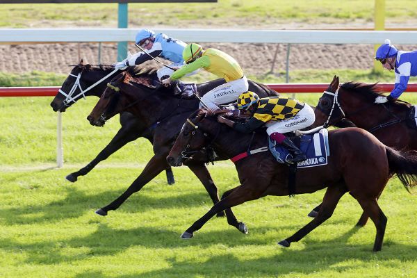 Two from two for Paradigm Shift