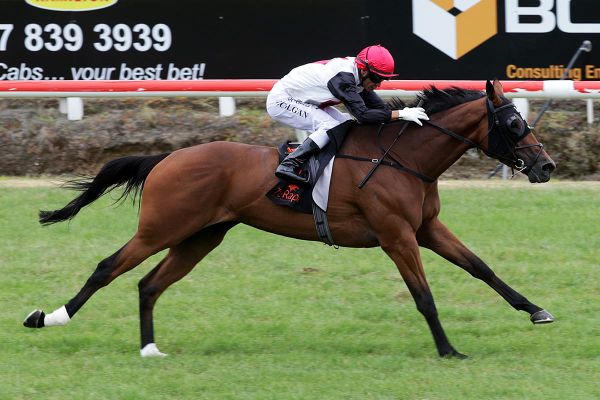 Brisbane Cup tilt for Rondinella