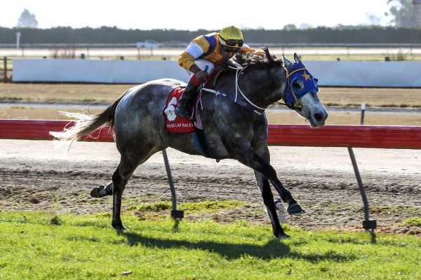 Tapper hoping for clear run for Ashburton team