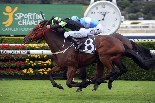 Distance queries for Pride pair in Cup