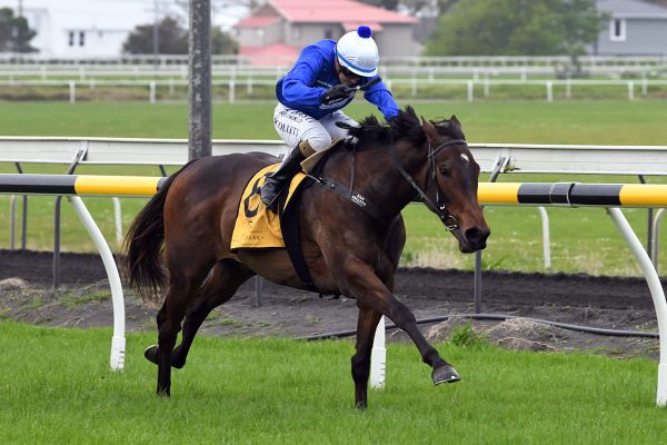 Supreme Heights on target for stakes test