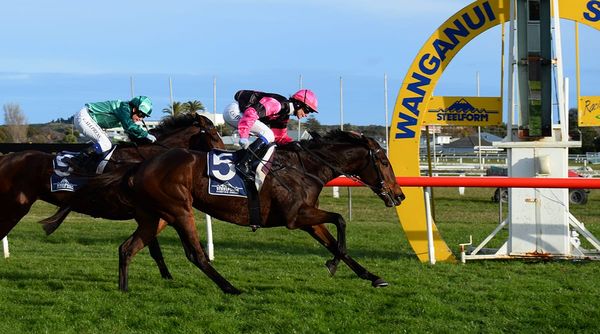 Brosnan’s champ reigns supreme at Wanganui