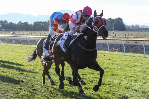 Stewart eyes timely win in Sunday’s Waimate Cup