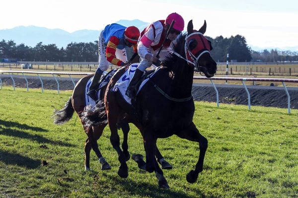 Take The Deel wins Waimate Cup