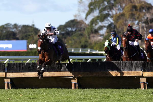 Tommyra ready for bold effort in Ellerslie feature