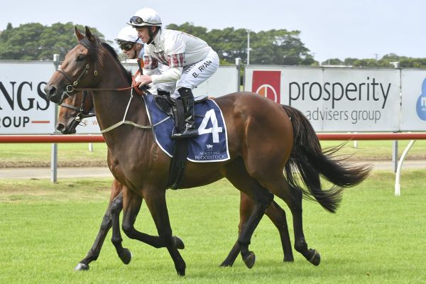 Verbek out to close campaign with a win