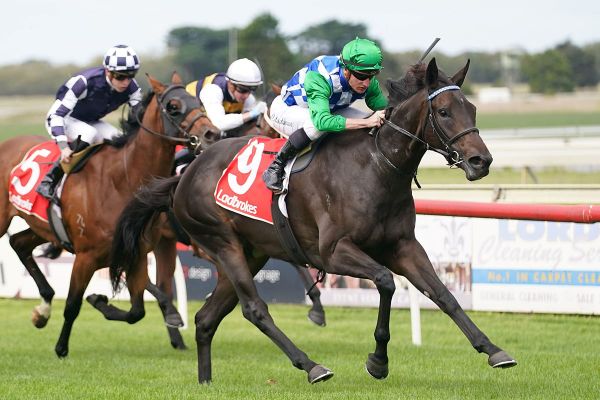 Moroney watching Queensland raiders from home