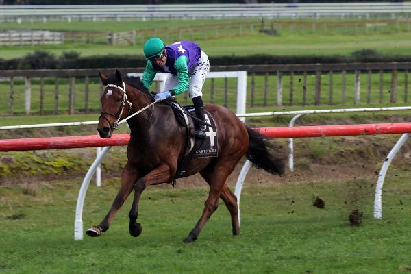 Banker presents itself early at Te Rapa