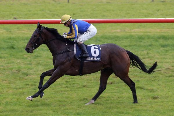 Barbara provides winter bonus for former trainer