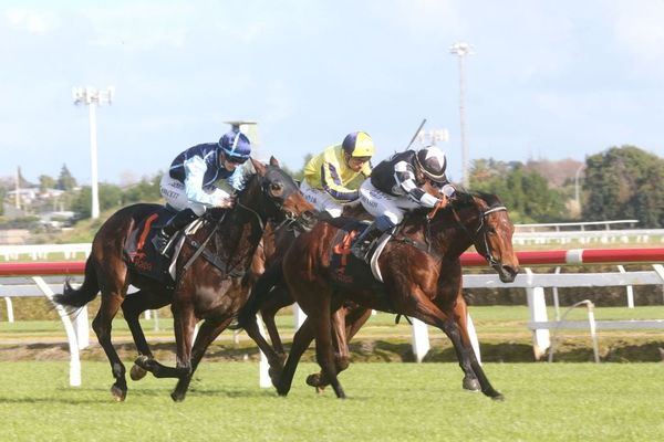 Sharrock has a stakes mission in mind for impressive two-year-old winner