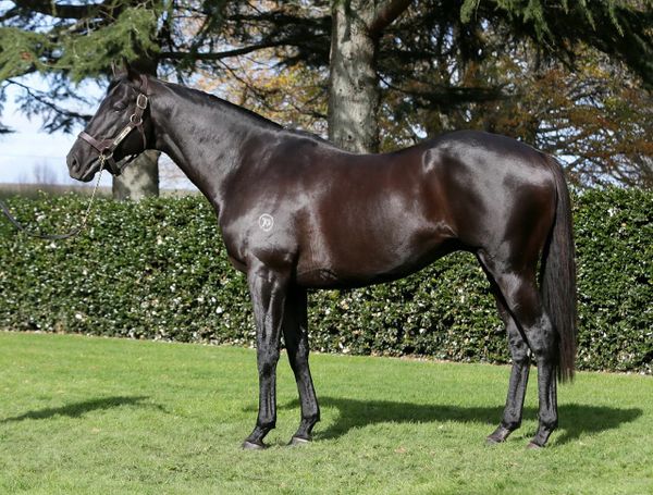 Complacent’s roll of winners continue