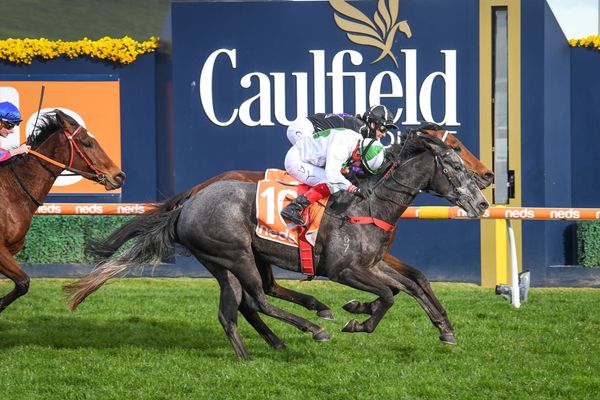 Cru Classe prevails at Caulfield