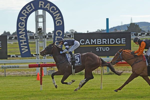 Tsunami Sam provides Burton with successful homecoming