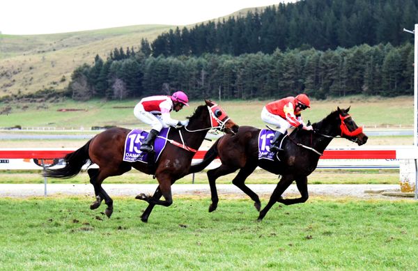 Tappy’s One continues winning streak with Oamaru Cup victory