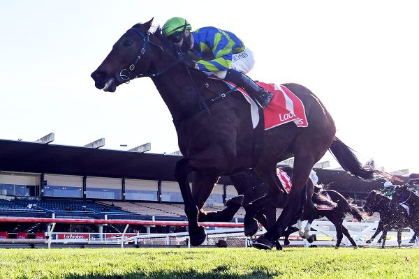 Valley sprint targets for Roca