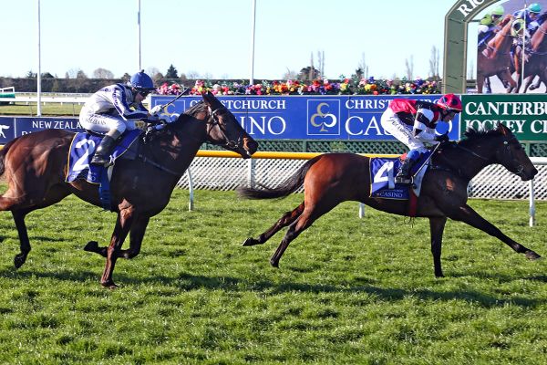 Flying Sardine retired