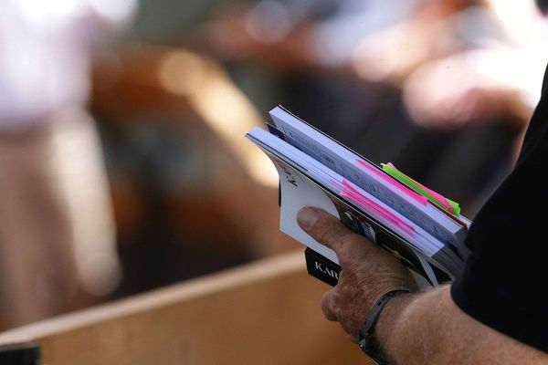 Online Bidding Registrations Open for 2022 National Weanling Sale