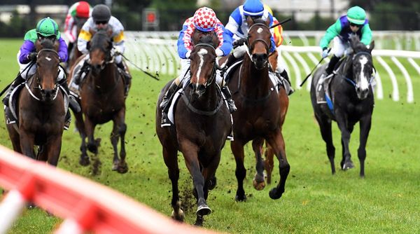 Go You Good Thing looks to double-up