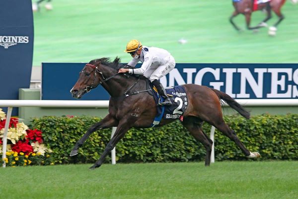 Golden Sixty primed for return