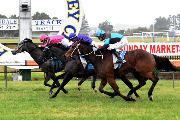 Half Of Nothing secures bonus at Avondale