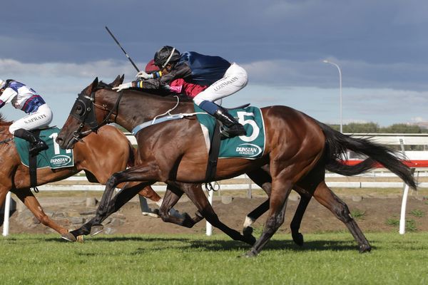 Il Affare joins leading Sydney barn