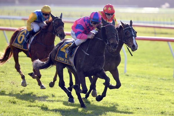 Ima Roca Bee takes Ryder Stakes