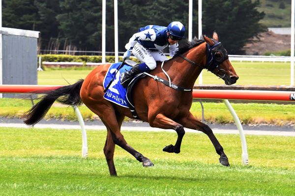 Invisible Spirit to further enhance Otaki trainers’ impressive season