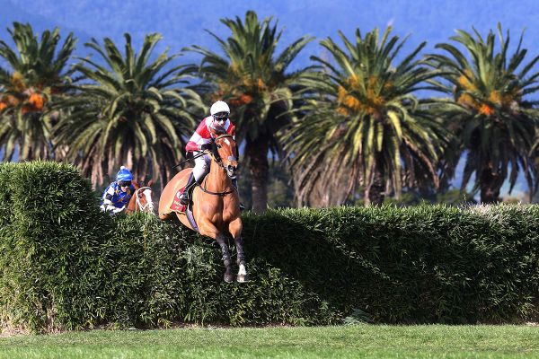 Thornton regains the winning feeling at Te Aroha