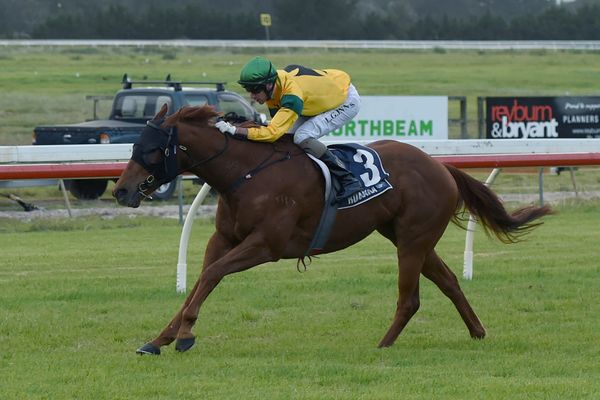 Promising stayer Makzabeel a potential Cups horse
