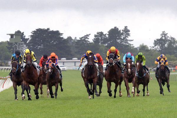 Welfare initiatives gain support