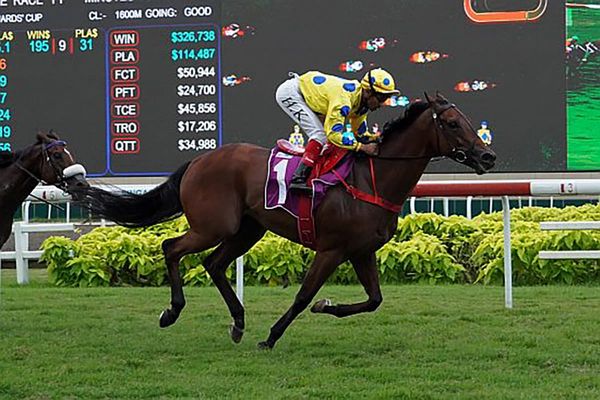 Mr Malek lands Stewards' Cup