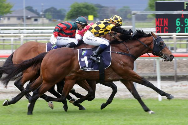 Melbourne Options for Pike colt