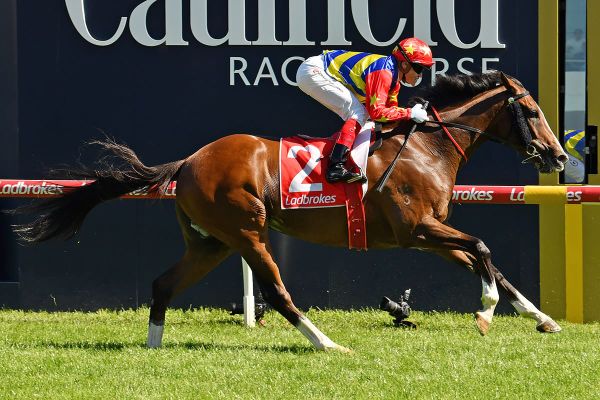 Odeon looks to pass $1m mark