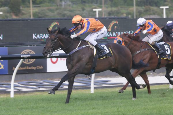 Parkes excited for raceday return
