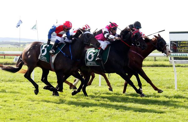 Leading South Island trainer title up for grabs at Oamaru