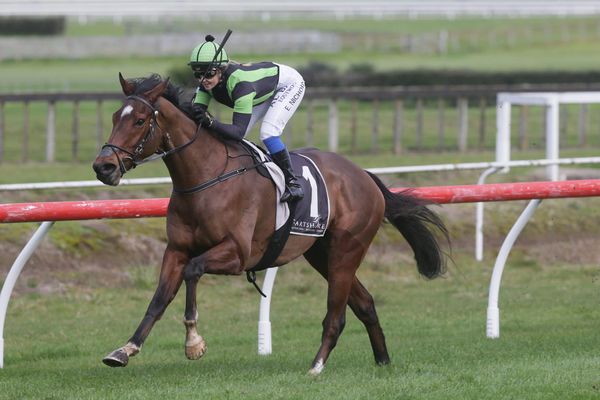 Bonus draws Quiz Kid south