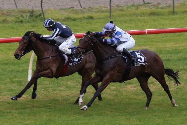 Bradley back in winning mode on home patch