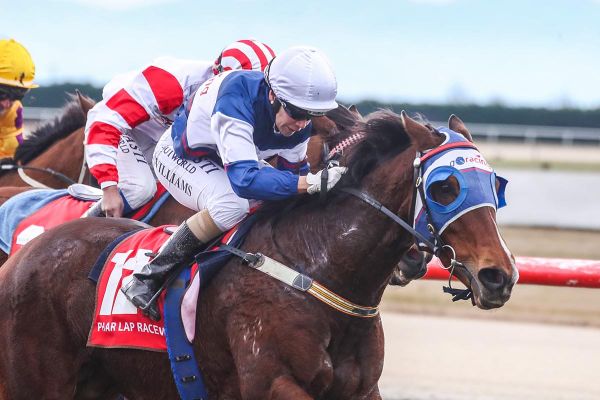 Sanctify brings up milestone win