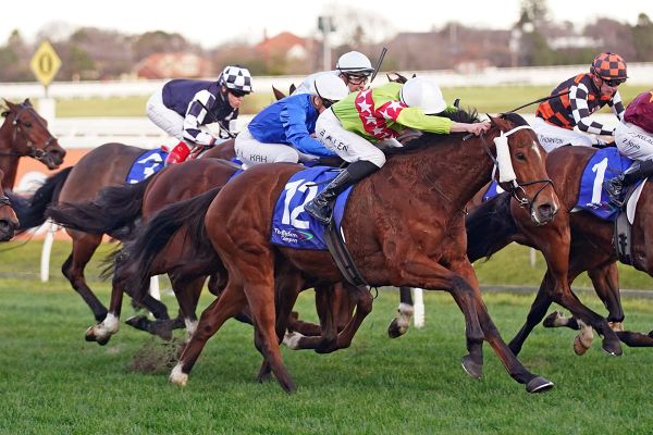 Sansom to rebound in Adelaide