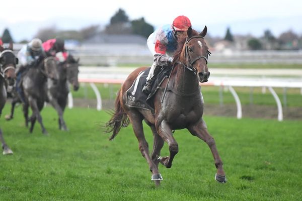 Awapuni targets for Winter Cup hopefuls