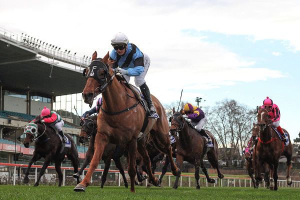 Distance no issue for Smokin’ Romans