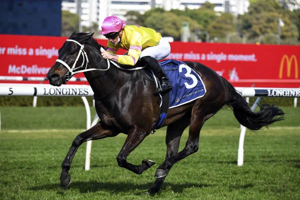 Waller breaks another training record