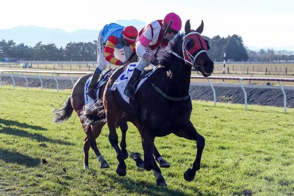 Granddaughter’s advice pays off at Wingatui