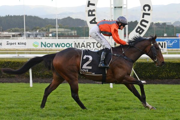 Opunake Cup test for Tavis Court