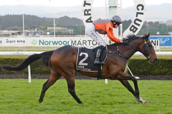 Tavis Court all class at Awapuni