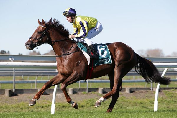 Youngster digging for Te Rapa treasure